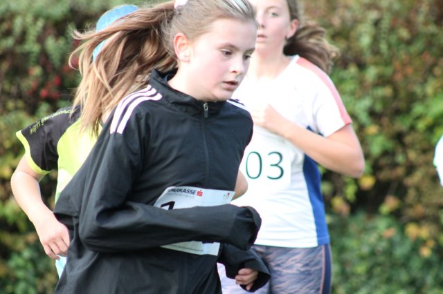 CrossCountryBezirksmeisterschaft_2024